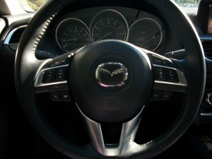 Steering-Wheel-Mouned-Controls