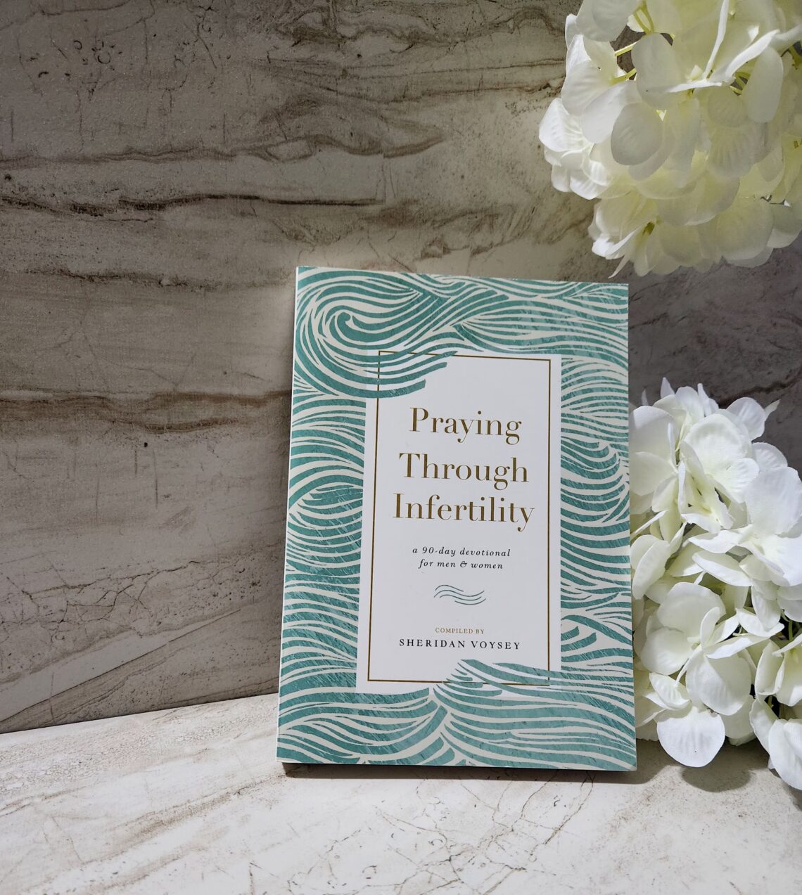 Praying through infertility book